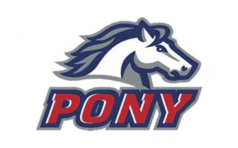 pony